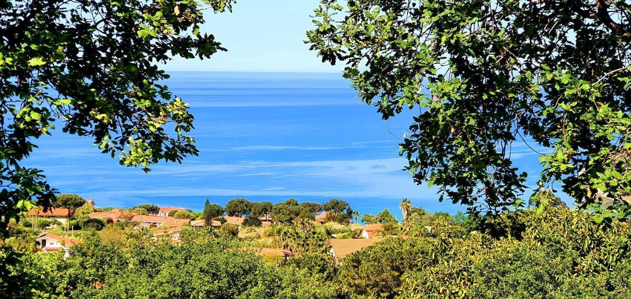 Naturamare Apartments - Piscina Idromassaggio Con Vista Mare Aperta Fino Alle Ore 22-00 Capo Vaticano Eksteriør billede